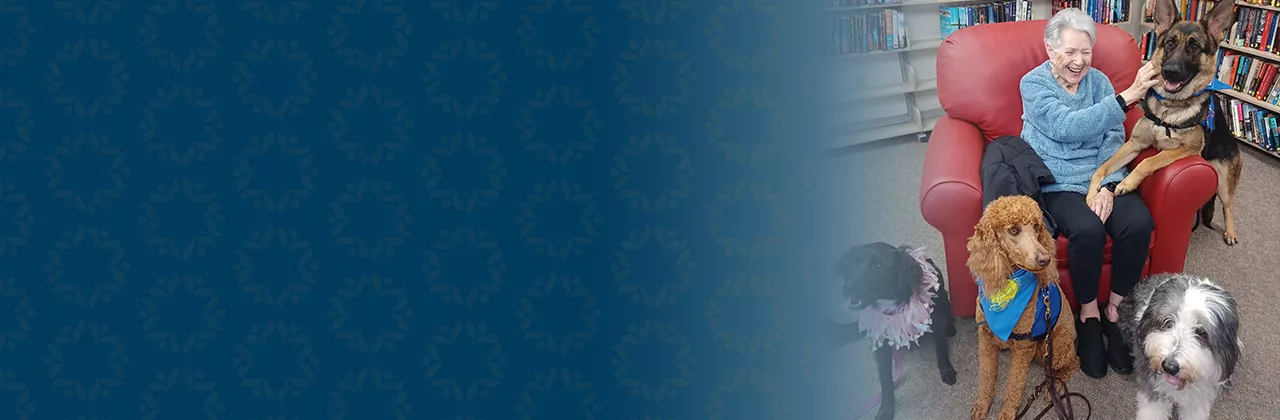 Woman With Dogs Header Photo 3