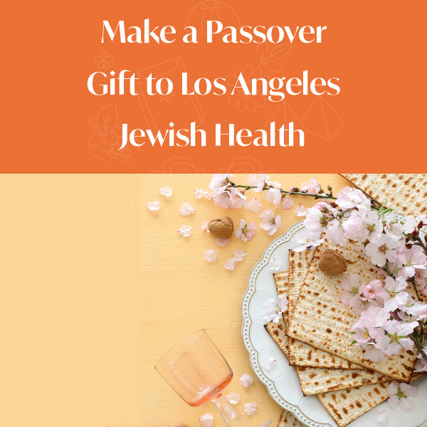 Bnr 2023 passover donation mobile